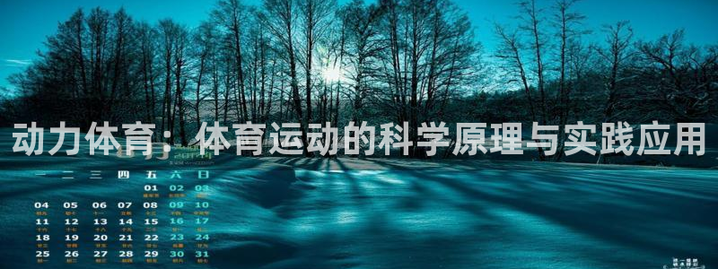 u球体育官网：动力体育：体育运动的科学原理与实践应用