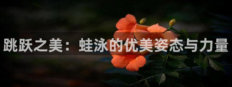 u球体育下载：跳跃之美：蛙泳的优美姿态与力量