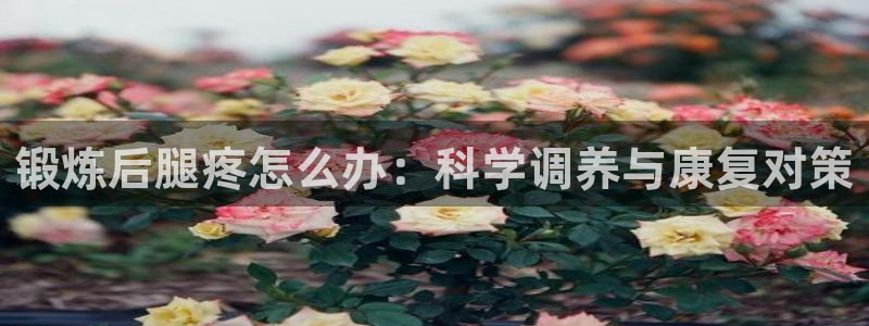 u球体育苹果下载：锻炼后腿疼怎么办：科学调养与康复对策
