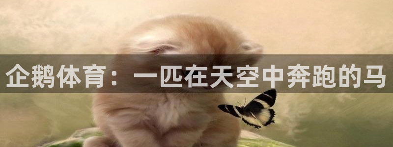 u球体育下载：企鹅体育：一匹在天空中奔跑的马