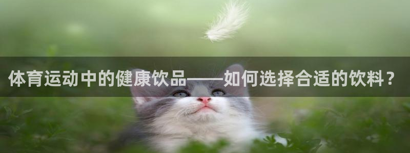 u球体育直播在线观看：体育运动中的健康饮品——如何选择合适的饮料？