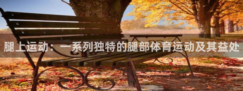 u球体育直播在线观看：腿上运动：一系列独特的腿部体育运动及其益处