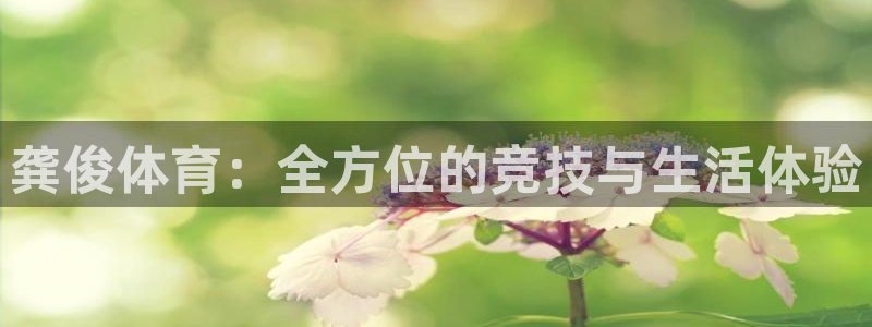 U球体育软件：龚俊体育：全方位的竞技与生活体验
