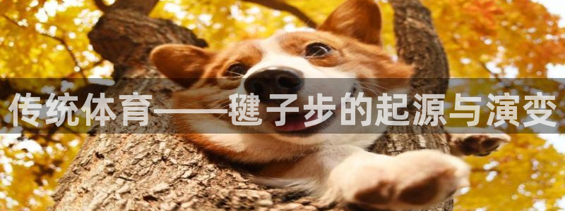 u球体育官网：传统体育——毽子步的起源与演变