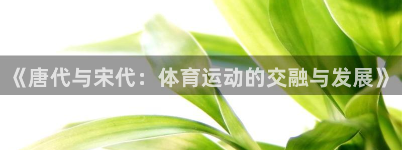 u球体育直播：《唐代与宋代：体育运动的交融与发展》