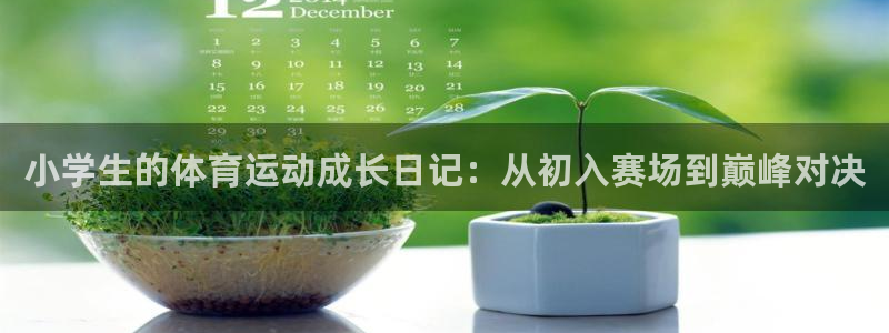u球体育官网下载：小学生的体育运动成长日记：从初入赛场到巅峰对决