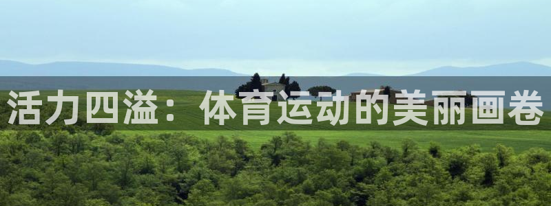 u球体育app官方下载：活力四溢：体育运动的美丽画卷