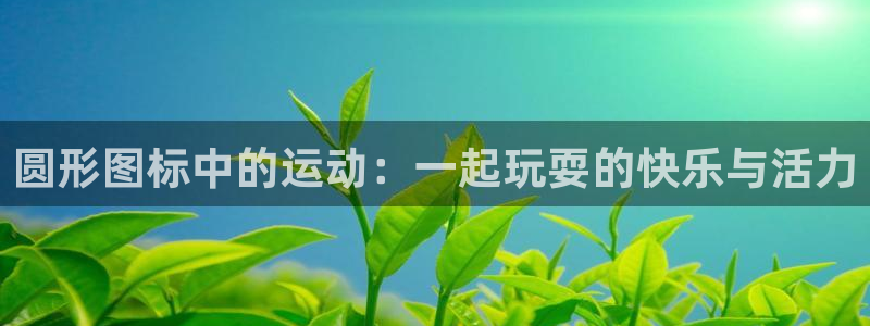 u球体育ios下载：圆形图标中的运动：一起玩耍的快乐与活力